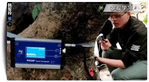 2018年全國園林植物保護(hù)交流協(xié)作會