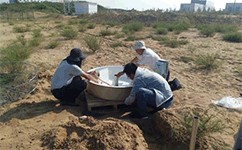 大型環(huán)境氣象觀測系統(tǒng)順利通過陜西省治沙研究所驗收