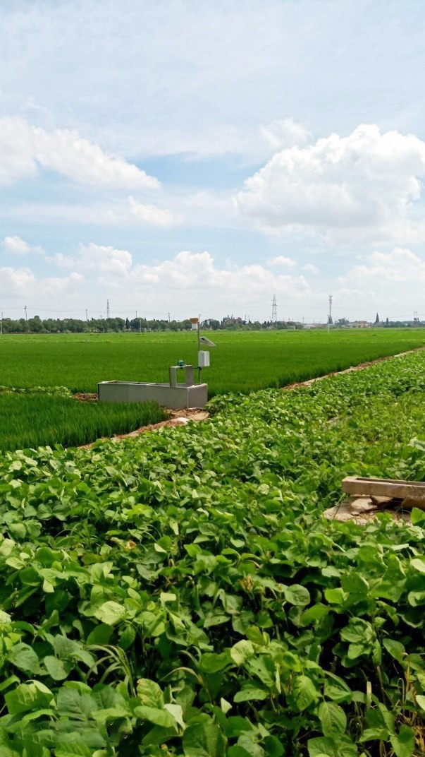圖片關(guān)鍵詞