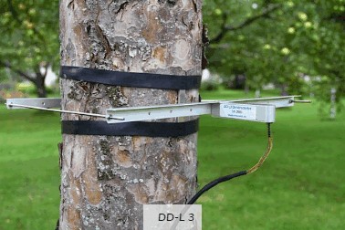 直徑生長測量傳感器