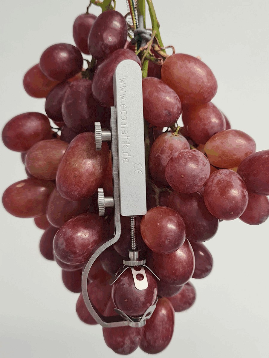 生長測量傳感器