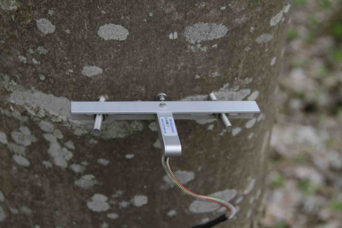 半徑生長測量儀