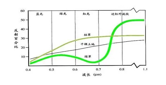 植物指數(shù)儀